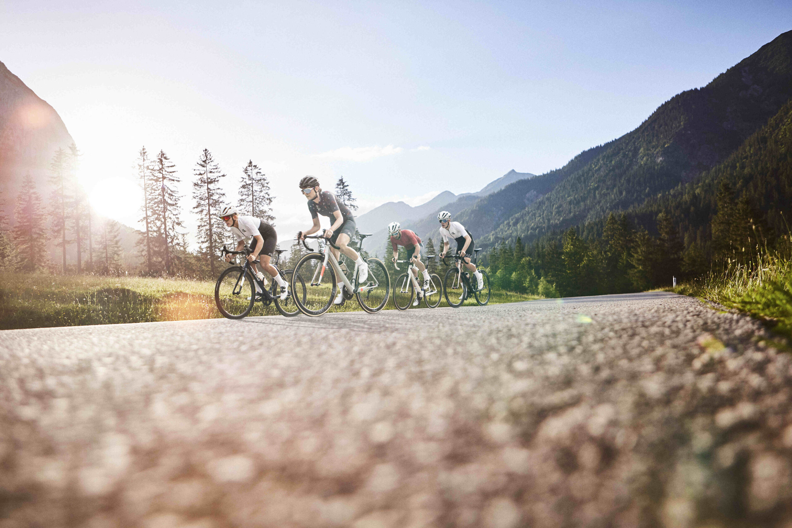 Dizo bike homepage riding